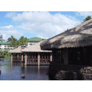 Buy cheap Grey Synthetic Thatch Roof Tiles for Garden 45*50cm and 30*45cm Realistic Appearance from wholesalers