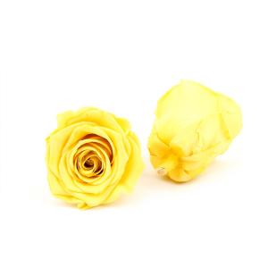 Buy cheap Long Lasting Dia 5-6cm No Pollen Preserved Rose Heads from wholesalers