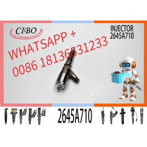 Diesel Engine Pump Car Fuel Injector 2645A710 2645A732 2645A744 For C6.6 Engine