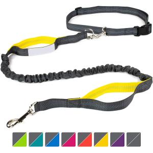 Buy cheap 4 Feet Long Bungee Dog Lead With Reflective Stitching from wholesalers