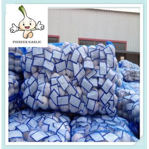 Buy cheap garlic fresh garlic 500G*20bag white garlic china supplier chinese fresh garlic from wholesalers
