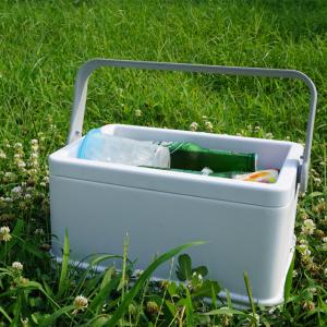 Buy cheap Phefon 8L Insulated Cooler Box for Camping and Picnics from wholesalers