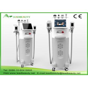 Buy cheap Hot sale cryolipolysis fat freeze slimming machine , cool lipo fat freezing from wholesalers