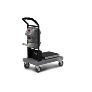 Buy cheap 60kg Explosion Proof Floor Scale from wholesalers