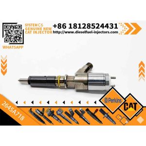 Fuel Injector 2645A718 2645A734 2645A747 for Perkins 1104D-E44TA Diesel Engine