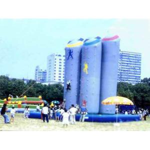 Buy cheap Large-Scale Inflatable Amusement Park With Climbing Bungee Trampoline from wholesalers