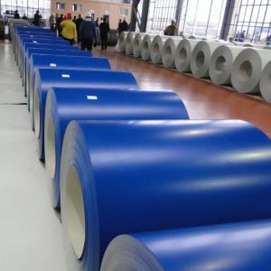 China 0.125mm-2.5mm Thickness PPGI Steel Coil Plain Grooved For Ceiling Channel on sale