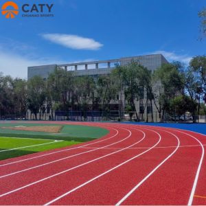 Buy cheap All-weather Hybrid Polyurethane Rubber Track Surface with Ultimate Performance & Durability from wholesalers