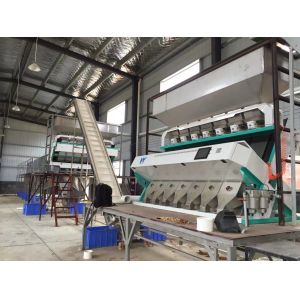 Optical RGB Wheat Color Sorter 7000kg/h with Two CCD cameras