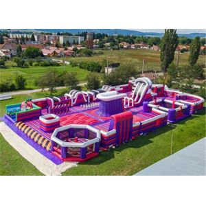Buy cheap Durable Inflatable Theme Park With PVC Tarpaulin Material Purple And Blue from wholesalers