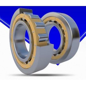 Buy cheap P2 Precision Cylindrical Roller Bearing Double Row With Open Seals from wholesalers