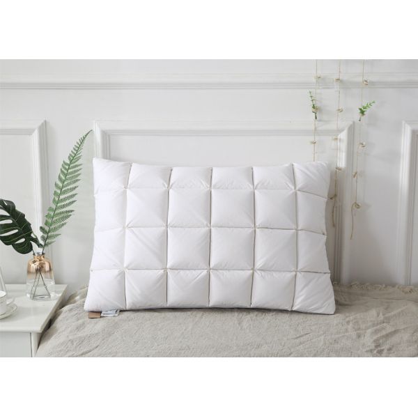 Quality Goose Down 240G 48cm*74cm Goose Feather Down Pillow for sale
