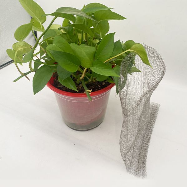 Buy cheap Stainless Steel Gopher Wire Baskets Reliable Solution For Crop Protection from wholesalers
