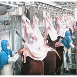 Buy cheap Customized  7.5KW Slaughterhouse Cow Machine Automatic Cow Slaughtering Machine from wholesalers