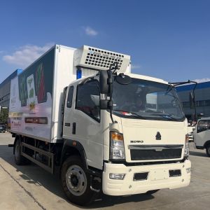 Buy cheap 10 Tons Carry Capacity LHD RHD HOWO Freezer Truck With 6m Box from wholesalers