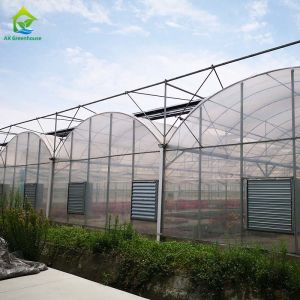 Buy cheap Hot Dip Galvanized Steel Frame Multi Span Greenhouse For Tomatoes And Cucumbers from wholesalers