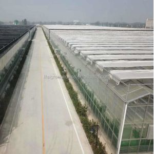 Buy cheap 4.0m-6.0m Gutter Height Commercial Glass Greenhouse for Vegetable Flower from wholesalers