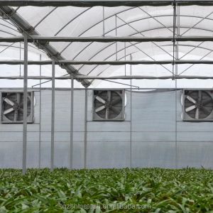 Buy cheap Optimal Irrigation Agricultural Multi Span Plastic Greenhouse for Single Layer Crops from wholesalers