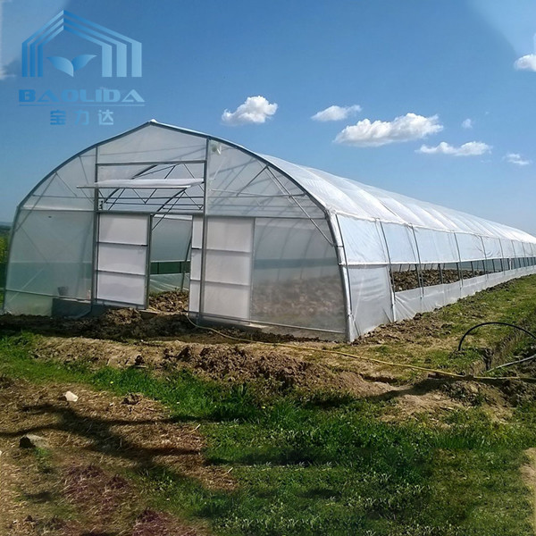 Buy cheap Roof Ventilation Tunnel Plastic Greenhouse With Cooling System from wholesalers