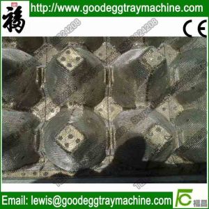 Pulp Moulding Mould and Finish Product