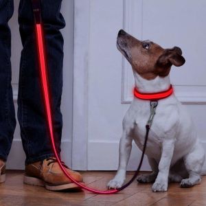 Buy cheap Neoprene Padding Reflective Light Up Dog Lead Safe For Night Walking from wholesalers