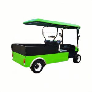 48V-72V 4 Wheel Electric Cargo Golf Cart With Dump Bed Custom Color