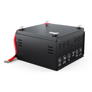 China IP30 Case Protection 48V LiFePO4 Lithium Battery Nominal Voltage 51.2V DC Backup Power for Uninterruptible Power Systems on sale