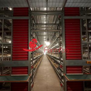 Buy cheap Precision-engineered Layer Chicken Cage System with Comfortable Living product