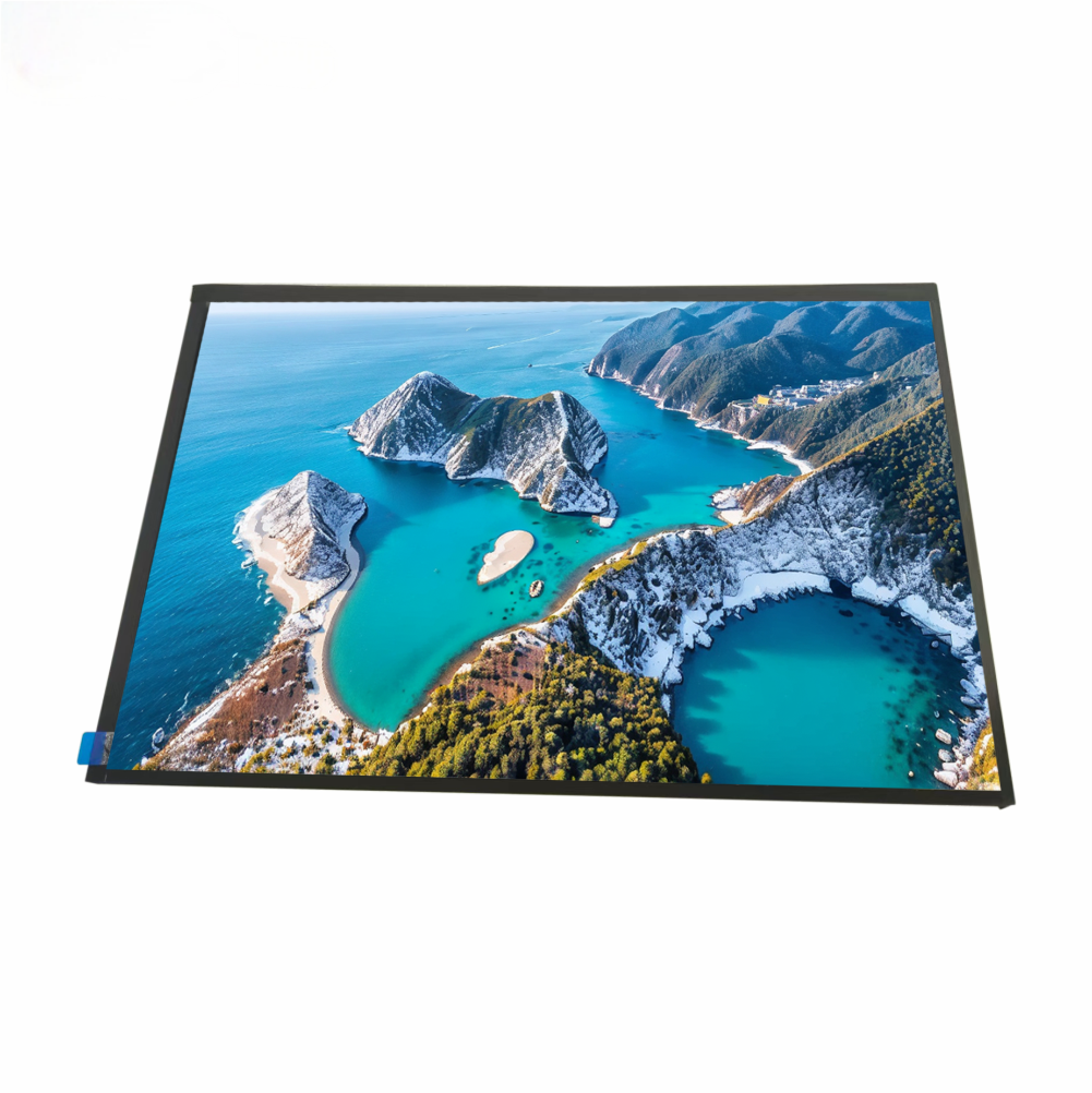 10.1-Inch Widescreen TFT Display with 1280×800 Resolution and 1000cd/m² High