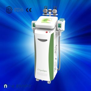 Buy cheap NUBWAY BEST SELLING!!! fat freezing cryolipolysis machine vertical cryolipolysis machine from wholesalers
