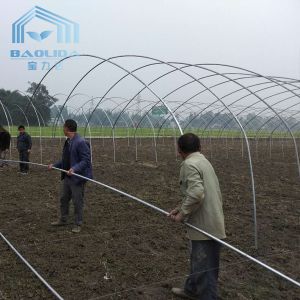 Buy cheap Side Ventilation Tunnel Plastic Greenhouse Cold And Wind Resistant from wholesalers