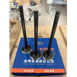 Zichai L250-03-031A Marine Diesel Engine Parts L250-03-004A Intake Valve Exhaust