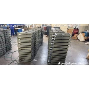 Warehouse Use 300 Kg 400x500mm Weighing Platform Scale