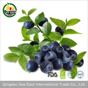 Buy cheap Kosher Cretified Chinese Lyophilized Fruit Freeze Dried Blueberry from wholesalers