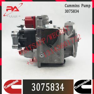 Buy cheap Cummins KTA50 Engine Parts Injection Fuel Pump 3075834 3059657 3060947 from wholesalers