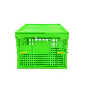 Buy cheap Customized Green PP Plastic Folding Crate Mesh Body + Solid Bottom from wholesalers
