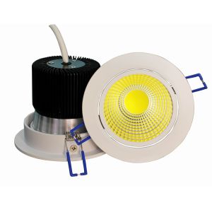 10W COB LED Downlight