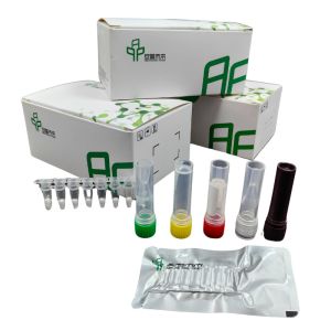 Buy cheap Shigella Pathogen Detection Kit with Exonuclease Isothermal Fluorescence product