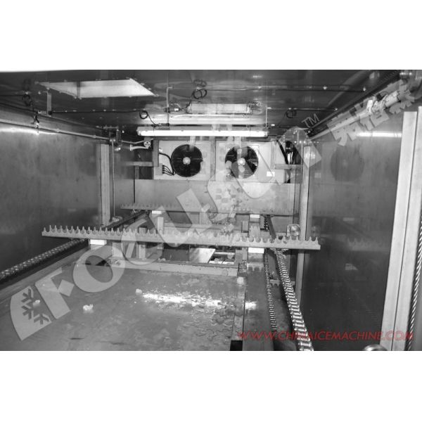 20ft Containerized Automatic Rake Ice Storage for Tube Ice Versatile and Customizable