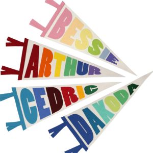 100D Polyester Triangle Pennant Banner CMYK Printing