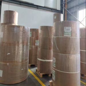 Buy cheap Eco Biodegradable Double Non-Plasitc Top Quality Double Side Hot Coffee Cup Material Paper Roll for Paper Product from wholesalers