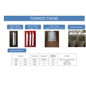 Greenhouse Tomato Banana Twine , PP Multi Span Agricultural Twine