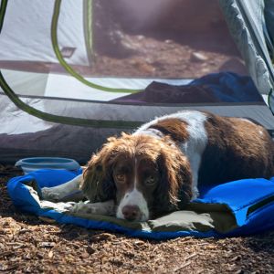 Buy cheap ISO9001 Polyester Lining 0.7 lbs Pet Sleeping Bag from wholesalers