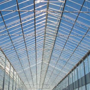 Buy cheap High Light Transmission Venlo Glass Greenhouse Easy Installation from wholesalers