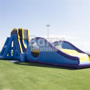 Buy cheap Blue Dry And Wet Slides , Inflatable Drop Kick Slide With Double Lanes For Amusement Park from wholesalers