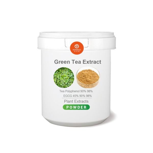 Quality Factory Supply EGCG Green Tea Extract With 98 Polyphenols for sale