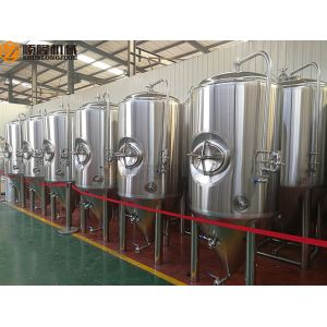 Electric Heating Small Brewery Equipment 200L With 8 Fermentation Tanks