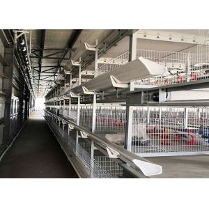 OEM / ODM Steel Structure Farm Poultry Layer Prefabricated Chicken House