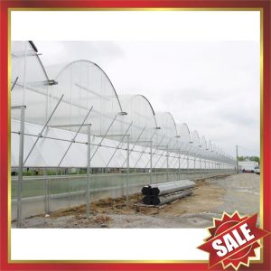 Buy cheap Hollow polycarbonate sheet for greenhouse,conservatory product