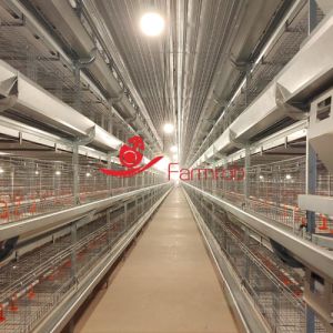 Buy cheap Premium Poultry Cage System 4-Tier Adjustable Chick Brooder from wholesalers